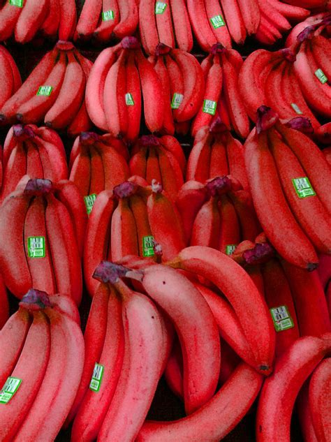Hoax About Red Bananas Exposed Financial Tribune