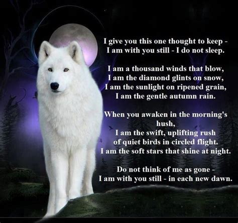Graham ⁉️ On Twitter Wolf Poem Wolf Quotes Lone Wolf Quotes