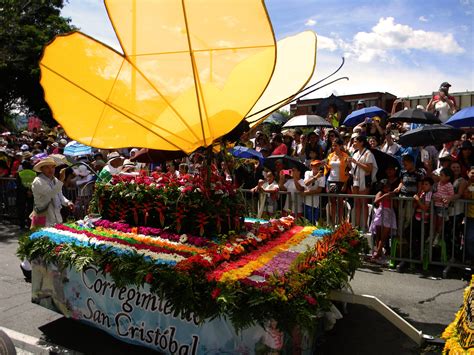 Check spelling or type a new query. Learning Color Guru: Send Flowers To Colombia Medellin ...
