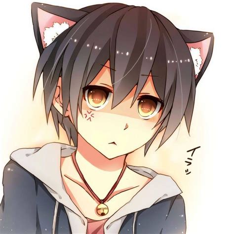 Anime Catboy Wallpapers Top Free Anime Catboy Backgrounds