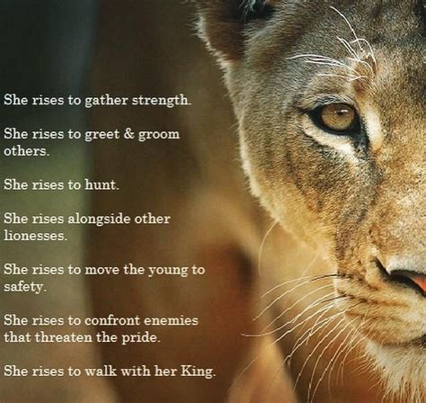 Pin By Renee Hall On Inspirational Reminders Lioness Quotes Lion Quotes Lioness