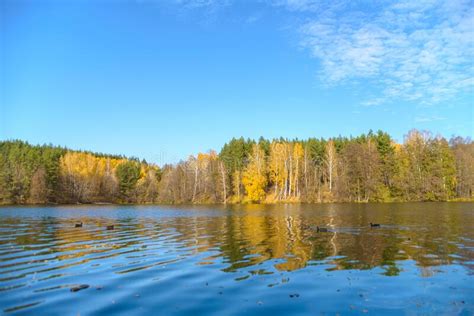Beautiful Autumn Landscape With Clear Blue Lake And Yellow Autumn Trees