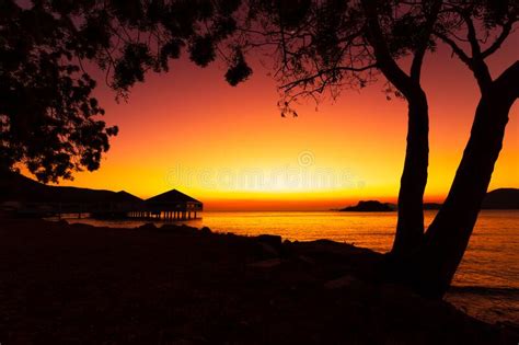 Silhouette Beach Tree And Mountain With Sunset Sunrise Seascape