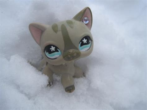 105 replies to lps drawing: LPS ShortHair Cat by MarisaPony on DeviantArt