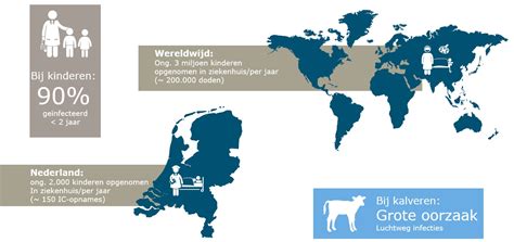 Wereldwijd is het echter de tweede doodsoorzaak bij jonge kinderen. Vaccins tegen RS-virus voor jonge kinderen en kalfjes ...