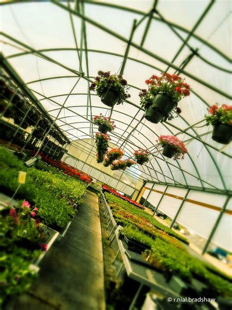 Washivore Discover Washington Agriculture Nursery And Greenhouse Plants