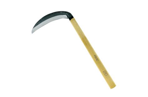However, careful studies are warranted in sickle cell patients given the side effect profile of sulfasalzine, which includes serious gastrointestinal bleeding and nephrotoxicity. 10 Easy Pieces: Sickles - Gardenista
