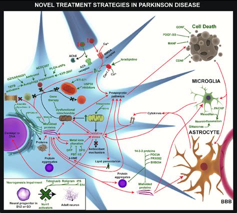 Novel Treatment Strategies In Pd The Most Relevant Approaches To