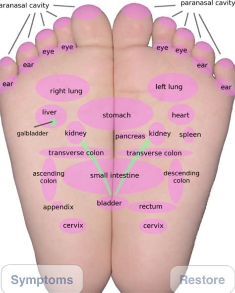 Foot Reflexology Lymphatic System Massage Acupressure Treatment Reflexology