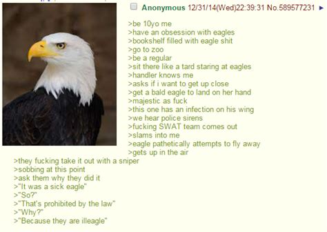 Anon Likes Eagles R Greentext Greentext Stories Know Your Meme