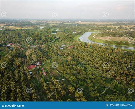 Rural Area Of Malays House In Coconut Farm Stock Photo Image Of