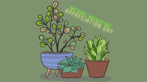 National Houseplant Appreciation Day Youtube
