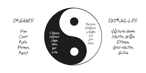 Yin Et Yang Dans La Pratique Du Qi Gong Qi Gong Attitudeqi Gong Attitude