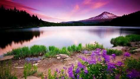 Colorful Nature Landscape Wallpapers Top Free Colorful Nature