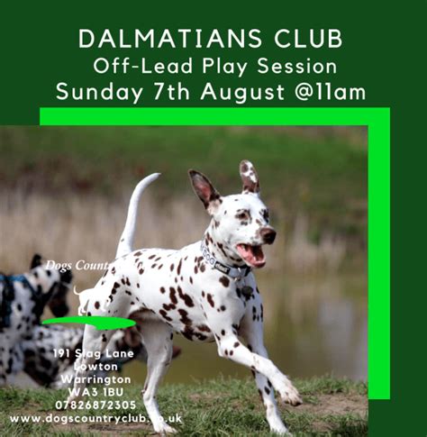Dalmatians Off Lead Play Session At Dogs Country Club Event Tickets