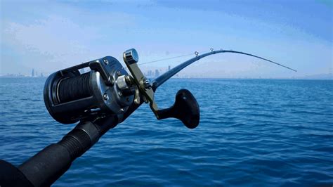Cairns Fishing Charters 5 Information To Let You Know Tripoz