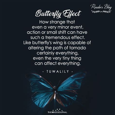 Butterfly Effect The Butterfly Effect Quotes Butterfly Effect