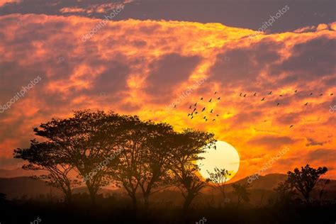 Majestic Sunset In The Mountains — Stock Photo © Pat138241 44210333