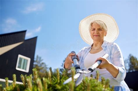 Senior Gardener With Hedge Trimmer At Garden Stock Photo Image Of Gardening Elderly