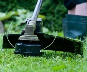 Once you find the right policies for your business needs, you can begin coverage in less than 24 hours. Lawn Care Insurance - Cost & Coverage (2020)