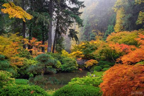 A Place Of Peace Portland Japanese Garden Portland