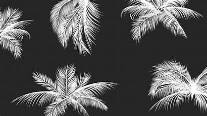 Desktop Wallpapers Mobile Backgrounds Tropical Background Iphone