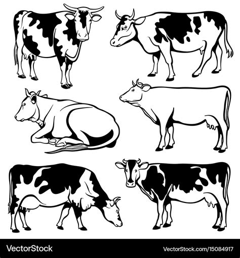 Black And White Cows Set Royalty Free Vector Image