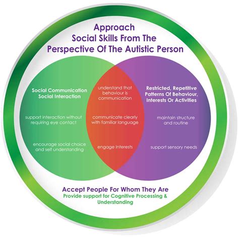 Autism Social Skills Professional Training Program