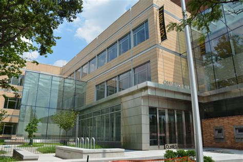 The library holds over two hundred thousand volumes with over 100, 000 items circulated each year. $32.4M Elmhurst Library Finally Reopens After Yearslong ...