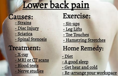 Lower Back Pain Causes Treatment Exercise And Home Remedy