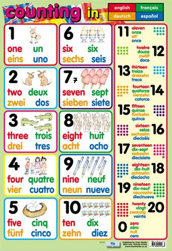 numbers poster in 4 languages little linguist