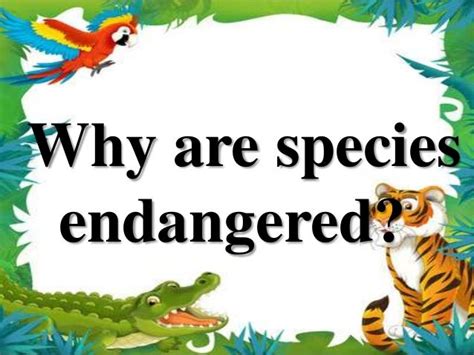 Why Are Species Endangered Ambegrey