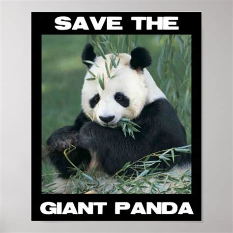 Save The Giant Panda Poster