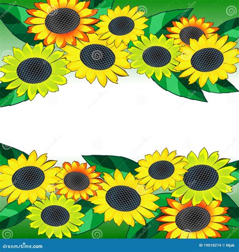 Sunflower Banner Stock Vector Illustration Of Illustration 19018274