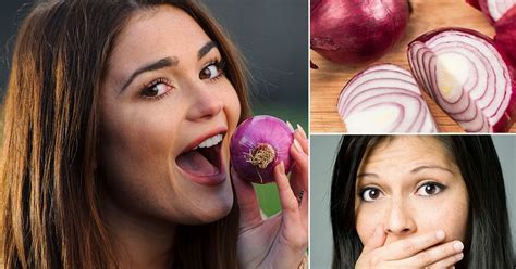 Health Benefits Of Eating Onions Viral Ventura