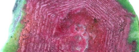 Check spelling or type a new query. July Birthstone: Ruby - Nature's Treasures