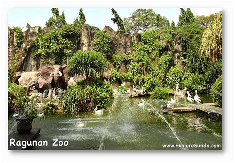 Ragunan Zoo, A Day Spent to See The Zoo and Have a Picnic in Jakarta