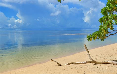 Palau 2019 Best Of Palau Tourism The Sustainable Travel