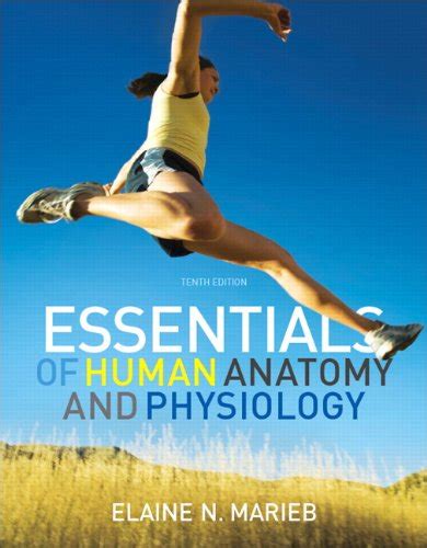 Human Anatomy And Physiology 10th Edition Textbooks Slugbooks