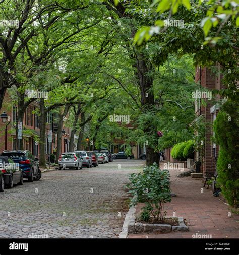 A Tree Lined Street In Philadelphias Society Hill Stock Photo Alamy