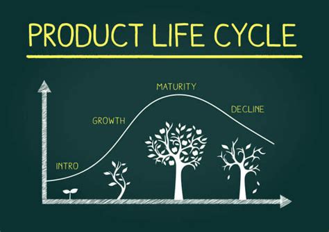 Product Life Cycle Stages Examples What Is A Product Life Cycle