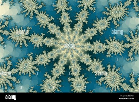 Starfish Fractal Hi Res Stock Photography And Images Alamy