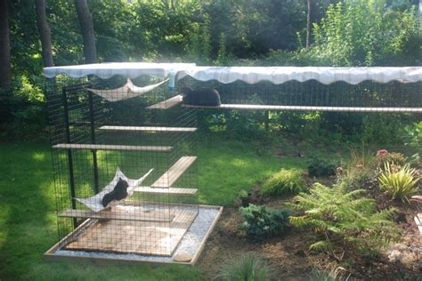 17 Best Images About Outdoor Cat Enclosures On Pinterest