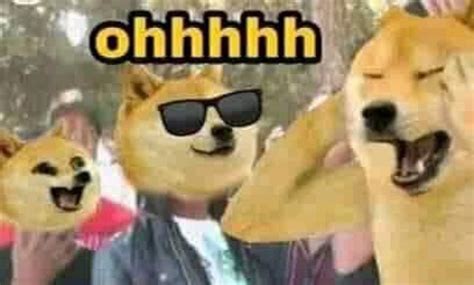 Doge Meme Template Doge Cheems Buff Crying Chemms Doggo Animal Pics