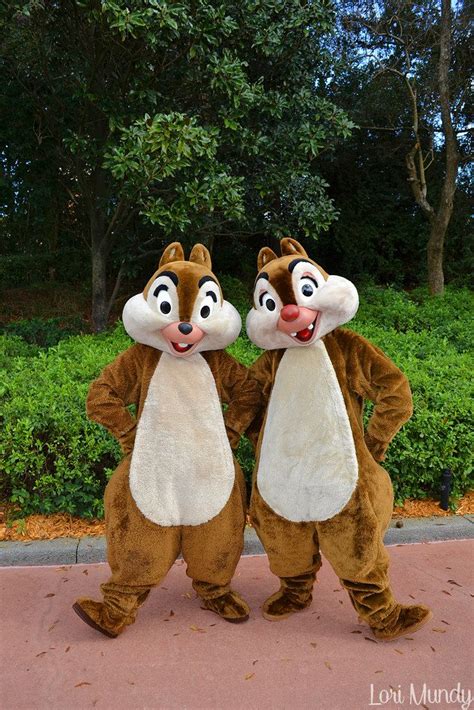 Two Chipmuns Standing Next To Each Other In Front Of Some Bushes And Trees