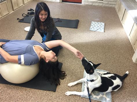 What Is Occupational Therapy? Who Needs OT? • SunDog Therapy