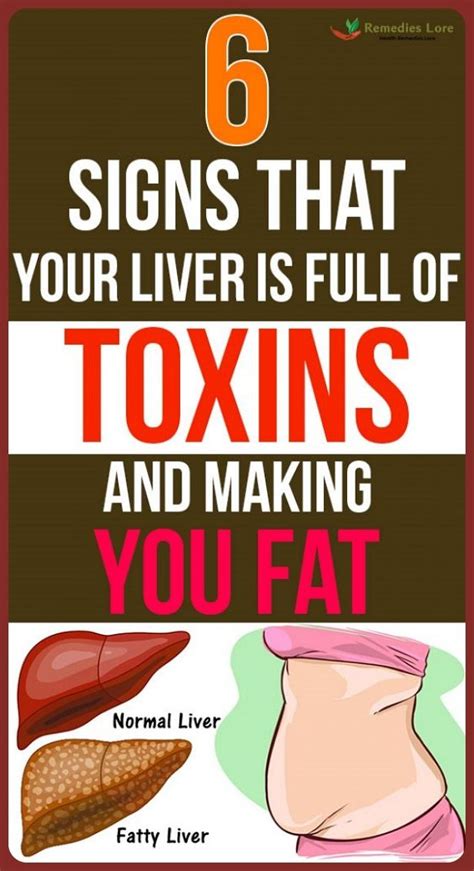 6 Signs That Your Liver Is Full Of Toxins In 2020 Healthy Website