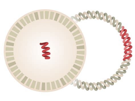 Vaccination has begun after the regulatory approval of coronavirus follow the latest news on current uk vaccination progress and everything else you need to know. Covid-19 Vaccine Tracker Updates: The Latest - The New ...