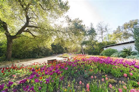 Descanso Gardens In Los Angeles See Natural And Cultural Beauty At A