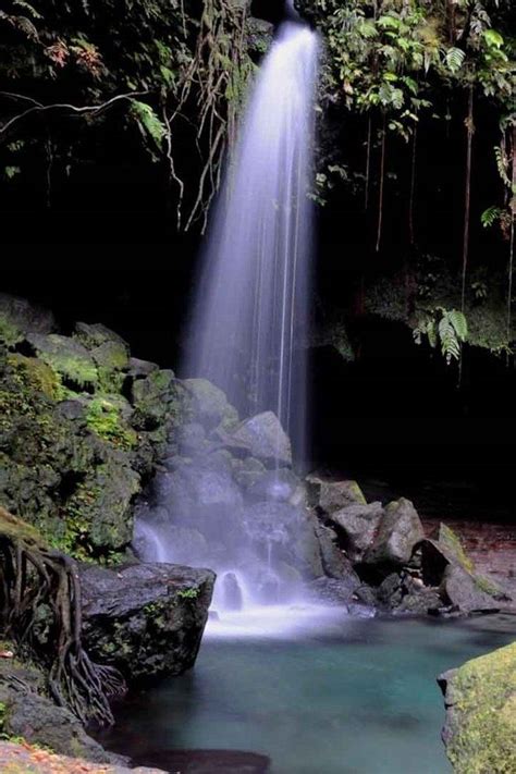 roseau dominica what would you do with 8 hours in dominica the caribbean s famed nature